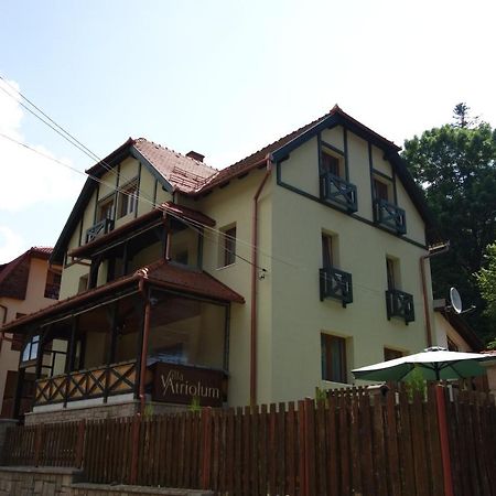 Villa Atriolum BaileTusnad Quarto foto