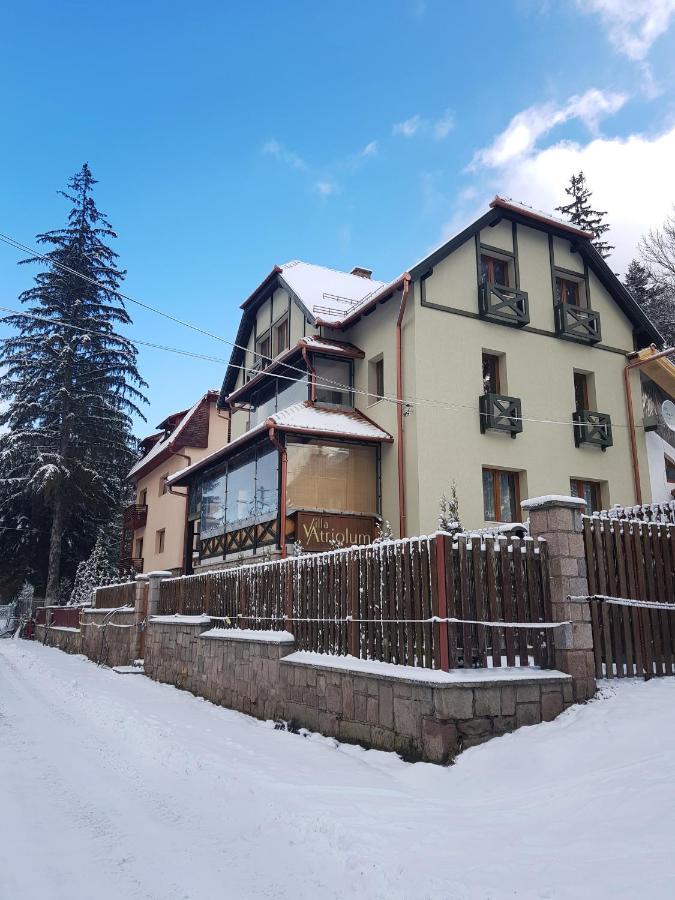 Villa Atriolum BaileTusnad Exterior foto