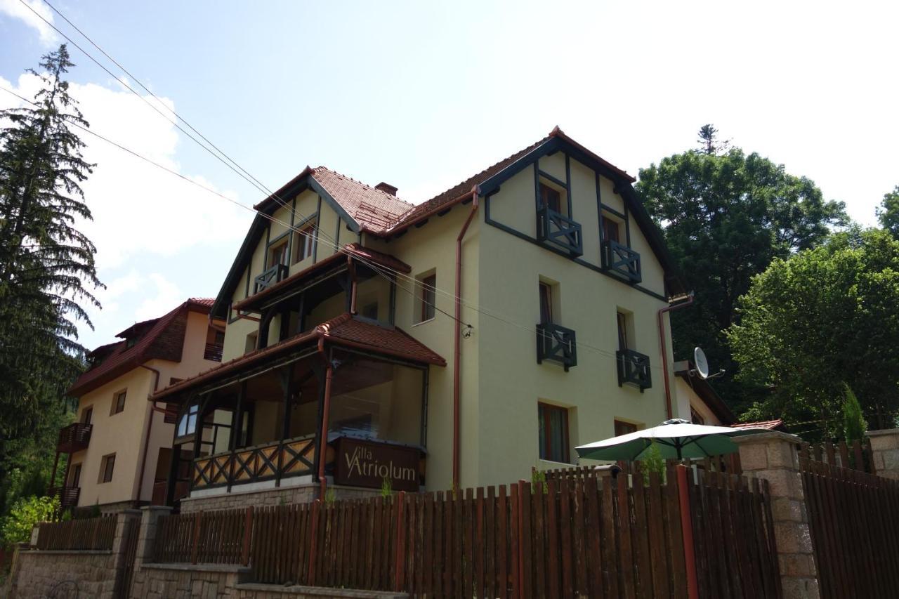 Villa Atriolum BaileTusnad Quarto foto